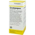 Produktbild: Crataegus Dilution Vet. 250 ml