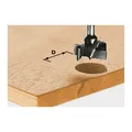 Produktbild: Festool Beschlagbohrer HW Schaft 8 mm HW S8 D15