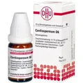 Produktbild: CARDIOSPERMUM D 6 Globuli 10 g