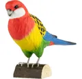 Produktbild: Wildlife Garden Skulptur Dekovogel Rosellasittich