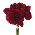 Produktbild: Gasper Kunstblume Amaryllis 32 cm. Bund mit 3 Amarillis. DUNKELROT -09