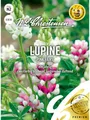 Produktbild: Lupine Pink Fairy
