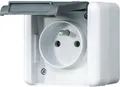 Produktbild: Jung 821FKIW Steckdose mit Erdungsstift 2-polig, WG 800