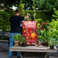 Produktbild: Mein schöner Garten DE Floragard Universal Chili-Substrat 125949-F