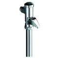 Produktbild: GROHE DAL-Vollautomatic-Spüler f WC 3/4Zoll chr