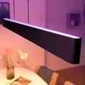 Produktbild: Philips Hue 8719514343368 LED Leuchte Ensis 2x39w | 6000lm | 2000-6500K | RGB - dimmbar, Bluetooth, White and color Ambiance, schwarz