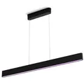 Produktbild: Philips-Hue Pendelleuchte Ensis, mit LED, 130 cm, 79 Watt / 5500 Lumen, App-fähig, aus Metall, schwarz