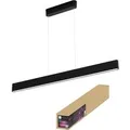 Produktbild: Philips Hue LED-Pendelleuchte Ensis White & Color Ambiance Schwarz