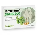 Produktbild: Aura Natura Fermentura Ginkgo Duo, Ginkgo Biloba Kapseln, 30 Kapseln - 30 Tage Kapseln