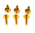 Produktbild: Verkleidungsschraubensatz M5X20 (6 Stk.) Goldfarben (Ta520Or)