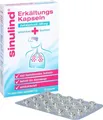 Produktbild: SINULIND Erkältungs Kapseln 20 St