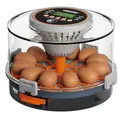 Produktbild: Okköbi Brutautomat vollautomatisch – Brutmaschine für 12 Eier – Temperatur & Luftfeuchtigkeit automatisch geregelt – Eierprüflampe integriert – Inkubator für Hühner-, Wachtel-, Enteneier