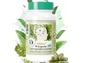 Produktbild: Athina 90 x 400 mg Kapseln Griechisches Eisenkraut Sideritis Bergtee Vegan Bio