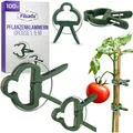 Produktbild: ® 100x Pflanzenclips Groß L  M Set - Tomaten Rankhilfe - stabile Pflanzenklam...