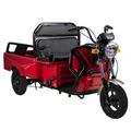 Produktbild: Cargo Compact Elektro Lastenrad Lasten-Dreirad offen, VT5-Mini 25km/h Rot