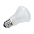 Produktbild: ELINCHROM 196V/100W E27 #23002 Speziallampe Einstelllicht für Elinchrom