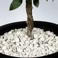 Produktbild: Marmor Ziersplitt weiß 16-32 mm - 25 kg Sack