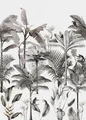 Produktbild: Rasch Tapete 539189 Club Botanique Affen Dschungel schwarz weiß  Wandbild Vlies
