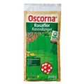 Produktbild: Oscorna Rasaflor Organischer Rasendünger - 20kg (EUR 2,49 / kg)