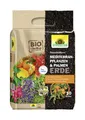 Produktbild: Neudorff NeudoHum Mediterranpflanzen- und PalmenErde (10 l)