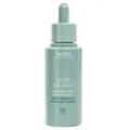 Produktbild: 018084040744 Aveda Scalp Solutions Overnight Scalp Renewal Serum lekkie serum ch