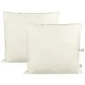 Produktbild: beties Federkissen Publik 2er Set, Füllung: 100% Federn, Bezug: Baumwolle, Seitenschläfer, Rückenschläfer, Bauchschläfer, Set, 2 Stück, Kissenfüllung ca. 60x60 cm waschbar kein Lebendrupf beige 60 cm x 60 cm x 60 cm