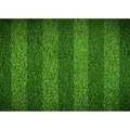 Produktbild: CoverYourDesk Schreibtischunterlage Spielfeldrasen (21557209)