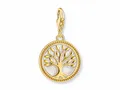 Produktbild: Thomas Sabo 2057-427-39 Charm-Anhänger - Tree - of - Love - Lebensbaum Silber Gelbgold verg. & Kaltemail