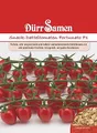 Produktbild: Datteltomaten Samen Rote Snack Tomate Fortunato Tomatensamen ca 6 Korn Ertragreich Saatgut Garten Hochbeet Kübel Dürr Samen