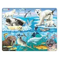 Produktbild: Selecta Larsen Puzzle Tiere – Polartiere, 75 Teile.