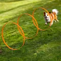 Produktbild: 3x Ring Agility Set Hunde klein und mittelgroß - 3er Hunde Agility Set