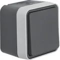 Produktbild: Berker 30773505 Kreuzschalter AP, W.1, grau/lichtgrau