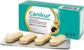 Produktbild: CANIKUR Tabletten vet. 12 St