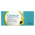 Produktbild: CANIKUR Kautabletten für den Hund – Diätergänzungsfuttermittel zur Linderung akuter Resorptionsstörungen des Darms bei und nach akutem Durchfall 12 STK.