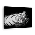 Produktbild: Bilder auf Leinwand Weiß Tiger Schwarz und Weiß Leinwandbild 70x50cm Wandbilder Dekoration Wohnzimmer Schlafzimmer Küche Deko Klein Wanddeko Bild Wand Kunstdruck Art Wall Decor Canvas AA70x50-4247