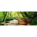 Produktbild: EUROART Wandbild 30 x 80 cm Footbridge in the forest Holz Grün