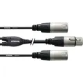 Produktbild: Cordial CFY0.3FMM XLR Adapterkabel [2x XLR-Stecker - 1x XLR-Buchse] 30.00 cm ...