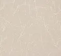 Produktbild: Tapete Natur beige weiß AS Creation Elegance 30507-4 (2,12€/1qm)