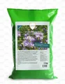 Produktbild: Linsor Phacelia Gründünger, Humusbildung, Bodenverbesserung, Bienenweide 1 kg