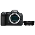 Produktbild: Canon EOS R6 Mark II + Objektivadapter (ohne Steuerungsring)
