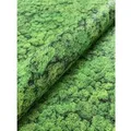 Produktbild: Newroom Vliestapete Moos Light Moos Floral FSC®