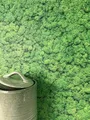 Produktbild: Newroom Tapete Grün Vlies Moosoptik - Floral 3D Relief Naturtapete für Wohnzimmer Schlafzimmer