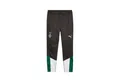 Produktbild: PUMA Trainingshose Puma Herren Trainingshose BMG Training Pants 774324