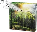 Produktbild: 1.01 Soundbox Wald / Forest - beruhigende und entspannende Töne