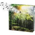 Produktbild: Vogelgezwitscher Soundbox Mit Waldgeräuschen - 12 Cm - Lautsprecher Mit Vogelgesang Und Waldkulisse