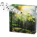 Produktbild: Vogelgezwitscher Soundbox Mit Waldgeräuschen - 12 Cm - Lautsprecher Mit Vogelgesang Und Waldkulisse