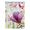Produktbild: Lichtblick Rollo, Klemmfix, 70x150 cm, Magnolie, rosa - rot