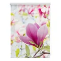 Produktbild: LICHTBLICK Verdunklungsrollo MAGNOLIE - rosa - 70x150 cm