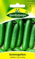 Produktbild: Kastengurke Qualitas - 30 cm lange Früchte Traditionssorte Gurken Samen Saatgut