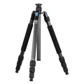 Produktbild: Sirui W-2204 (Carbon) (770828)